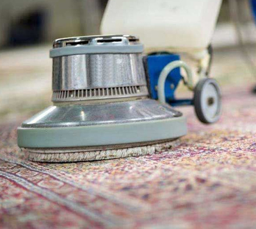 Rug Cleaning